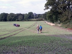 Walking the footpath through a field of winter barley. ©EH