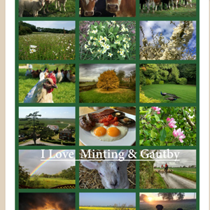 2017 VILLAGES CALENDAR