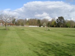 View across Southons Field towards Maidstone Road