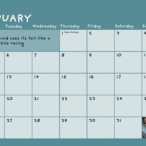 Greyhound Trust Shropshire & Borders 2026 Calendar for sale!