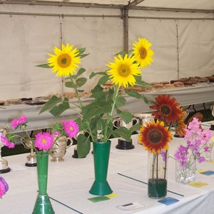 Flowers at Haseley Show