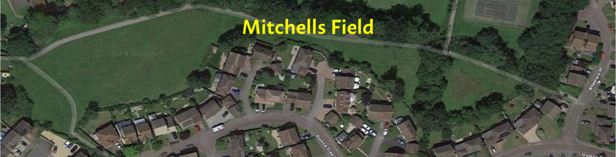 Mitchells Field