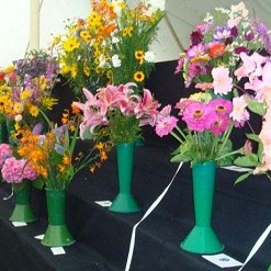 Chillerton and Gatcombe Parish Council Horticultural Society