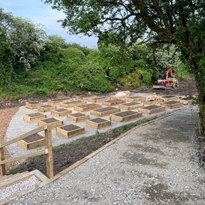 Layout of planters in the polytunnel area