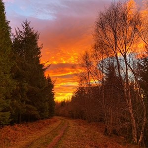 Newton on the Moor & Swarland Parish Council GALLERY