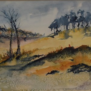 'Chase View' Watercolour by Diane Read