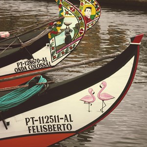 08. Aveiro Barcos