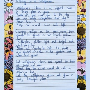Poem by Navaeh