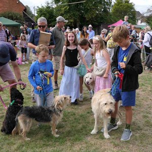 Goodworth Clatford Parish Council  Fete 2026 photos