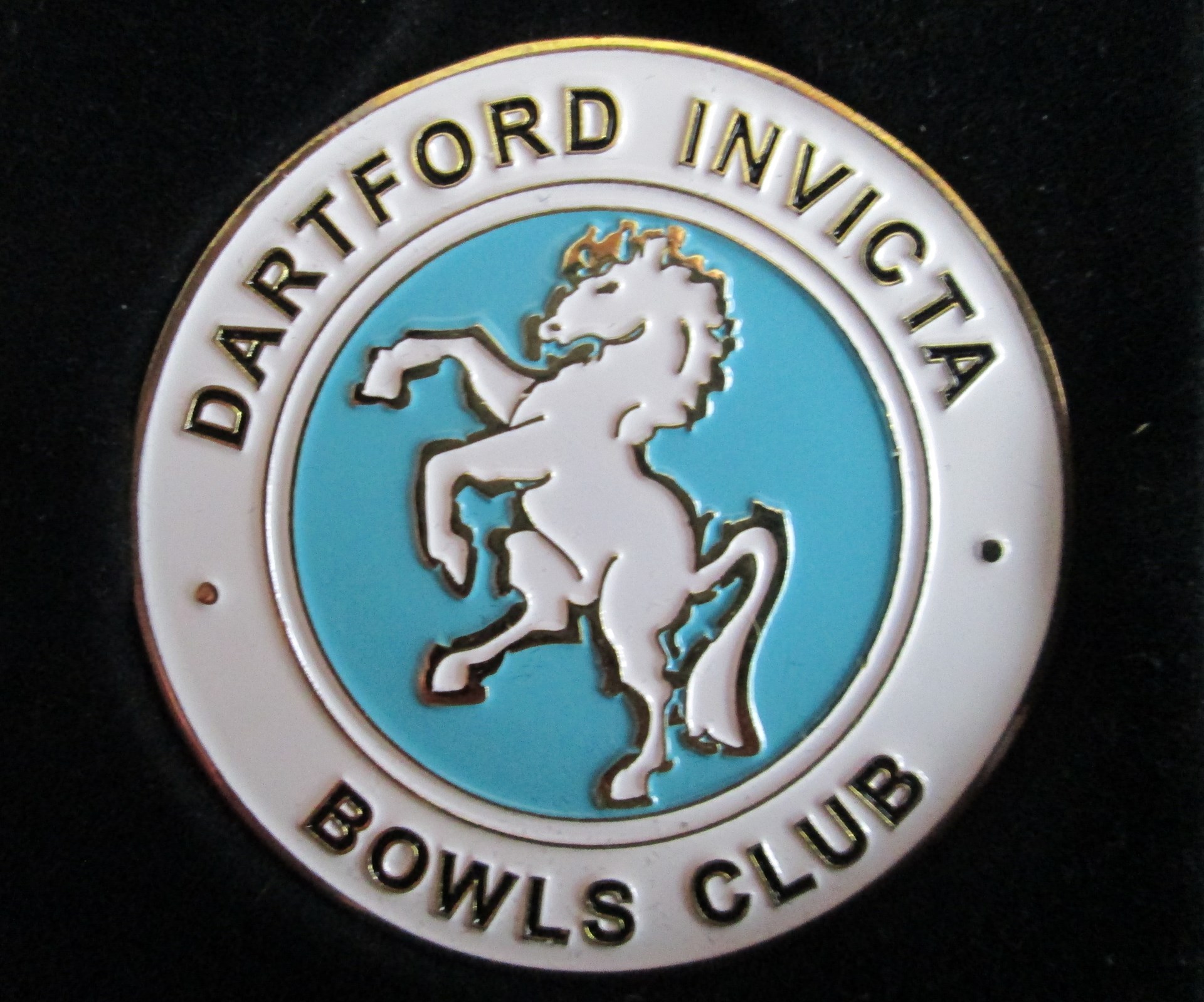 Dartford Invicta S & S Bowls Club About Us