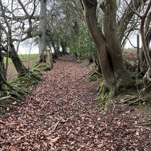 Hereford Mountain Club Our recent activities