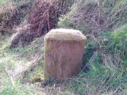 Evidence of the old Carlisle canal