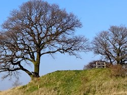 Appledore Parish Council Home