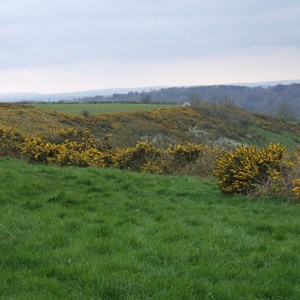 Hilton Parish Council Hilton Parish Gallery