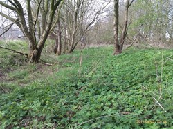 Evidence of old Carlisle canal