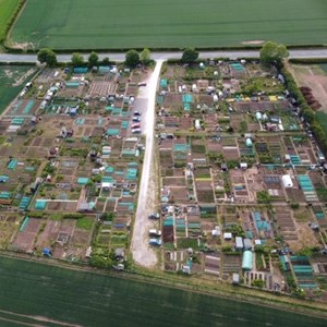 Agricultural Land including Allotments