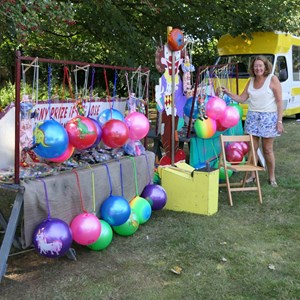 Goodworth Clatford Parish Council  Flower Show  2025 photographs.