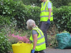 Tidying the Woodend Borders - July