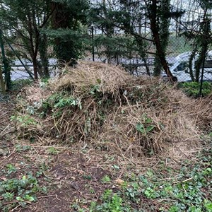 Asenby Parish Council The Community Park