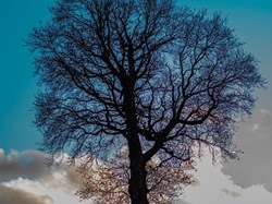 Farnsfield Parish Council Welcome
