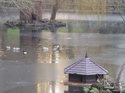 The new floating duckhouse in the foreground
