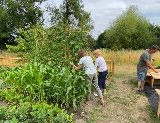 Rusthall Parish Council Vacancy for an Allotment Manager