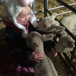 Lamb cuddles - It’s Springtime at Druids! - Linda Doggrell