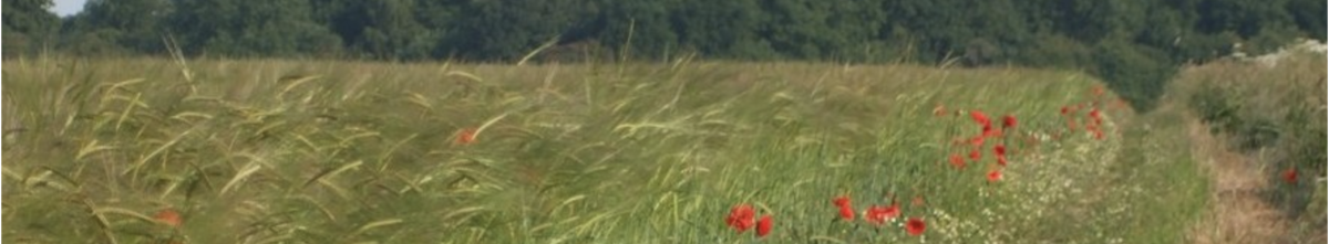 Penton Grafton Parish Council Footpaths