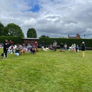 Whixall Social Centre Whixall Companion Dog Show 2024