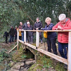 21 Mar 2025 - 22 people and  3 dogs joined us for a social walk and talk in beautiful surroundings.