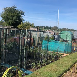 Hoo St Werburgh and Chattenden Parish Council Parish Allotments