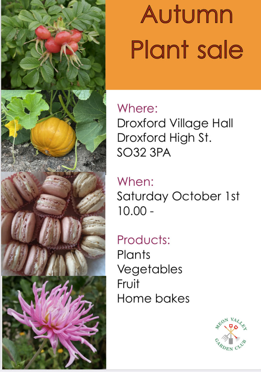 Droxford Village Community Autumn Sale 2022