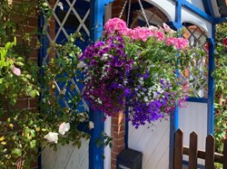 HBT Horticultural Society Garden Competition 2025