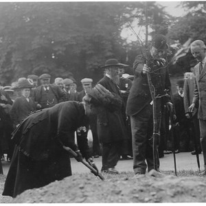 Mary Browne of South Collingham House, organiser of the Working Parties, planting a tree 1911