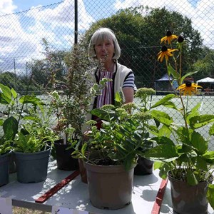 Goodworth Clatford Parish Council  Fete and Flower Show 2026 photos