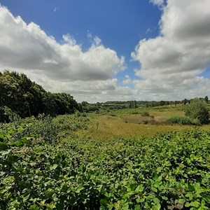 BMAT Gallery