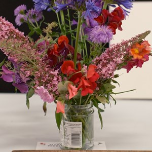 HBT Horticultural Society Photographs 2026