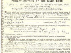 1931 Licence (front)