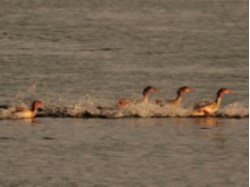 Photo by Stephen Lloyd-Smart