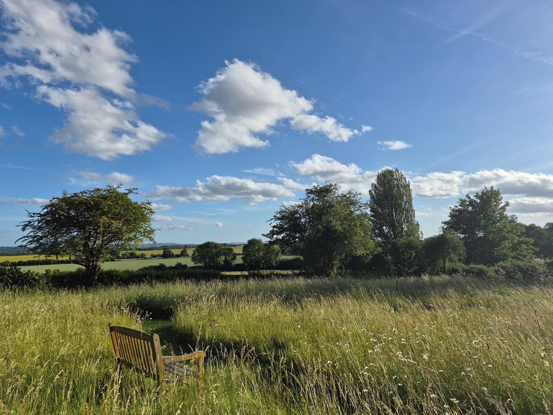 View from The Contemplation Garden