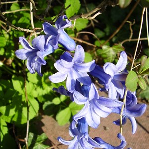 Acol Parish Council About Us