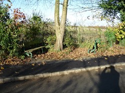 Millennium Benches