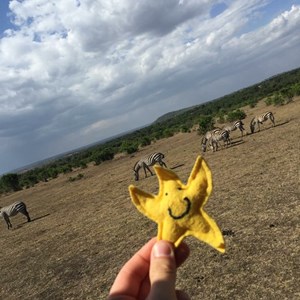 BOSP Brighter Opportunities through Supported Play BOSP's Travelling Star