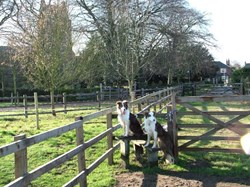 Maidford Parish Council About Maidford
