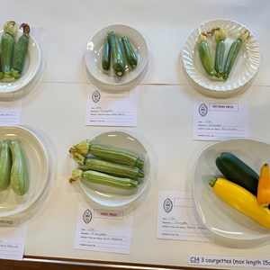 Mickleham and Westhumble Horticultural Society Show July 2026