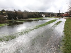 Dene Green March 2014