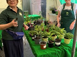 Plant Sale 2024