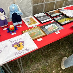 Snodland Town Council Snodland Fete (Previously Carnival)