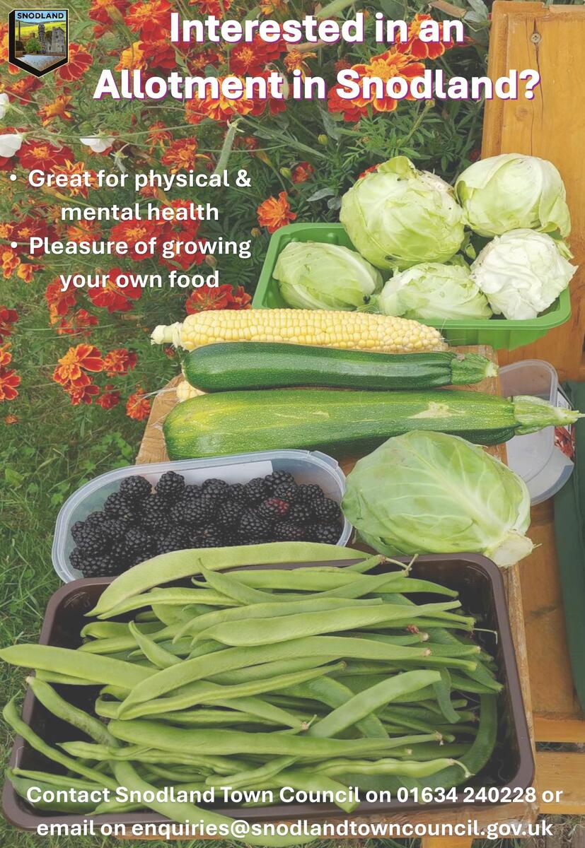 Interested in an Allotment