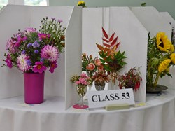 Bucklebury and Marlston Horticultural Society Autumn Show 2024